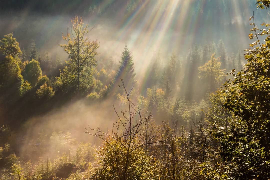 sonnenstahlenimnebel.jpg
